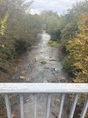 Au fil de l'eau, le Jabron - Logan - 4