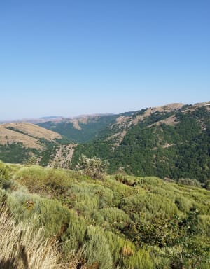 Boucle du pont de Montvert - Didier - 3