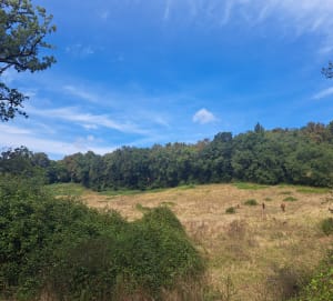 D'un château à l'autre, Bouliac, ses forêts et coteaux - Bouliac - 11