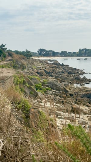 Sentier côtier sur la commune de Trégunc - Trégunc - 5