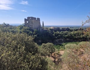 Balade autour de Beaumes de Venise - Beaumes-de-Venise - 28