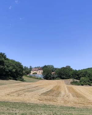 Autour du village du château de Beynac - Beynac-et-Cazenac - 8