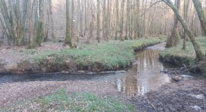 Gernelle et trip top dans des bois envoûtants - Gernelle - 7