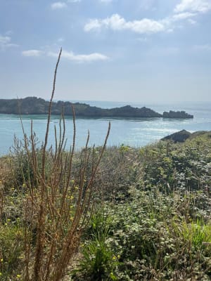 Cancale et sa magnifique pointe du Grouin - Cancale - 15