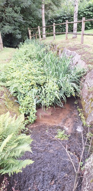 Roullours et virée au top dans le Bocage virois - claudine - 3