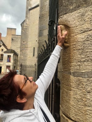 Historische wandeling in Dijon en verbazingwekkend architectonisch erfgoed - Dijon - 6
