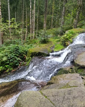 Saut de la Bourrique et Tête de Mérelle à Géradmer - Gérardmer - 53