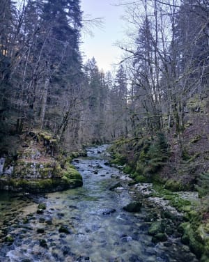 Découverte de la Bienne par Doye Gabet - Hauts-de-Bienne - 28