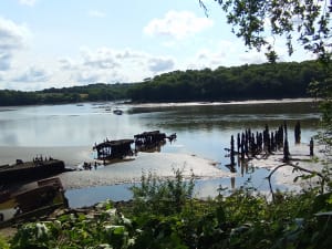 Les bords du Blavet en passant par le cimetière de bateaux - Lanester - 5