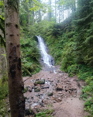 Saut de la Bourrique et Tête de Mérelle à Géradmer - Gérardmer - 54