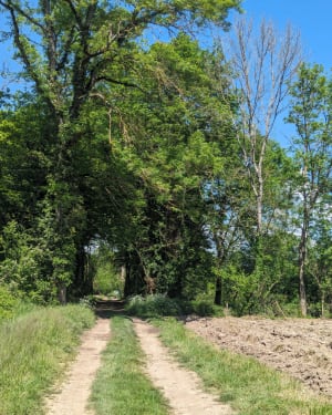 Petite boucle nature depuis Vasselin et faune sauvage - Juliette - 2