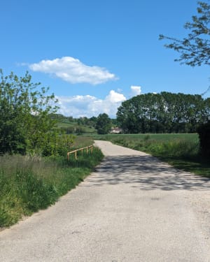 Petite boucle nature depuis Vasselin et faune sauvage - Vasselin - 3