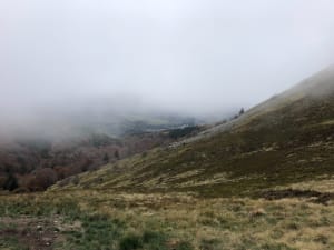 Le plateau du Guéry - Orcival - 41