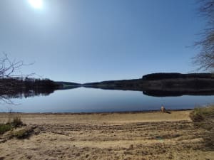 Autour du lac de Saint-Agnan - Saint-Agnan - 22