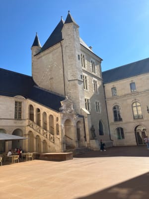 De reis van de uil in Dijon - Dijon - 61