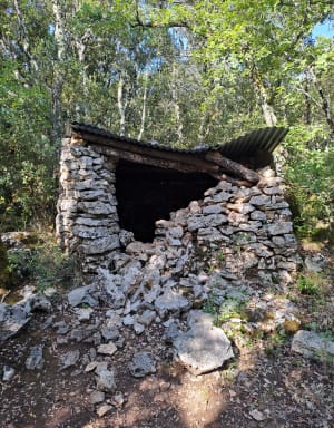 Balade entre dolmens et cèdres sur les hauts de Barjac - Barjac - 4