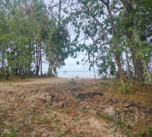 Lac de Cazaux et forêt - Jean-François - 8
