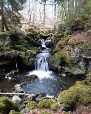 Balade entre Besse et la Cascades de Chiloza - Besse-et-Saint-Anastaise - 34