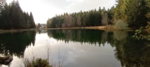 Balade forestière au lac de Freydières - Revel - 24