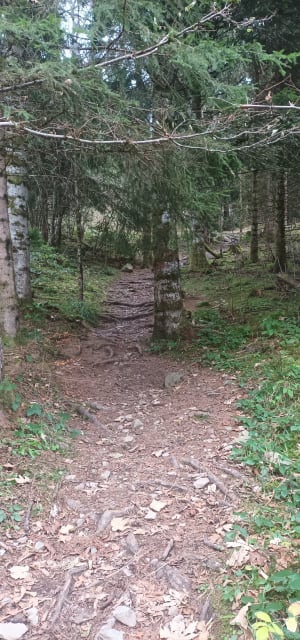 Balade forestière au lac de Freydières - Revel - 25