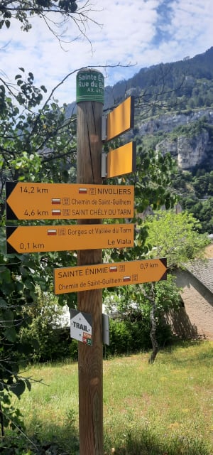 Balade sur le Tarn au Rocher des Egoutals - Sainte-Enimie - 28