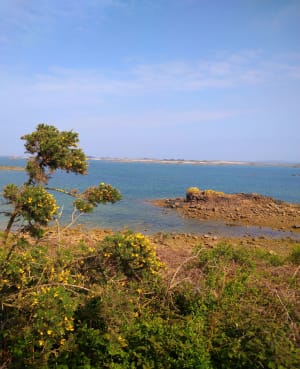 Boucle du gouffre de Plougrescrant - Plougrescant - 33