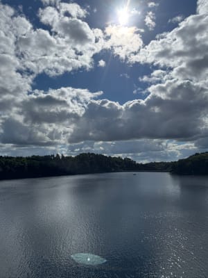 Balade au Lac de Guerlédan - Caurel - 18