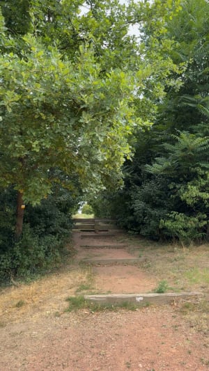 Entre Le Coteau et Commelle Vernay. - Roanne - 3