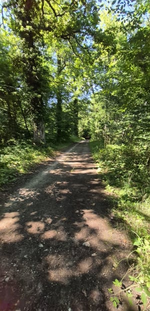 De La Rochette à Brolles - CECILE - 5