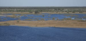 Lacanau Océan - Hourtin Plage. - Marinela - 3
