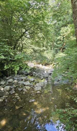 La Roche-sur-Foron, entre cité médiévale et nature - La Roche-sur-Foron - 6
