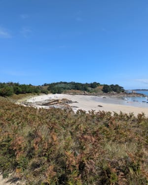 Îles Ebihens - Saint-Jacut-de-la-Mer - 6
