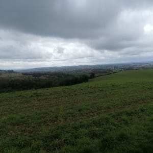 Lacroix-Falgarde aan de oevers van de Ariège - Lacroix-Falgarde - 25