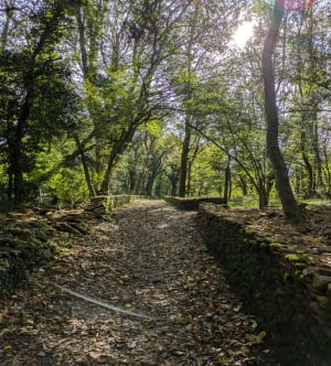 Mont Thou en zijn cabornes, overblijfselen uit het verleden - Saint-Cyr-au-Mont-d'Or - 97