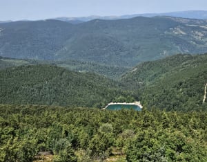 Grand Ballon Lake en prachtige landschappen - Cernay - 5