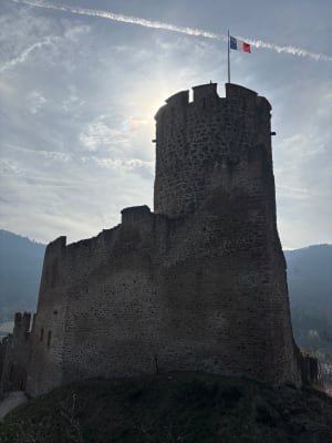 Château de Kaysersberg - Kaysersberg - 5