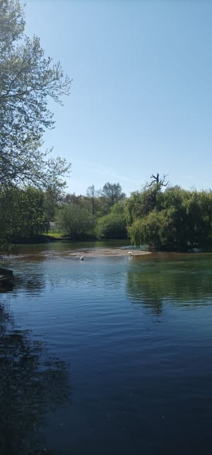 Balade bord de Charente Jarnac - Mainxe-Gondeville - 4