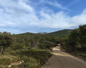 De septèmes les vallons au Pilon du Roy - Septèmes-les-Vallons - 6
