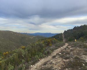 De septèmes les vallons au Pilon du Roy - Septèmes-les-Vallons - 7