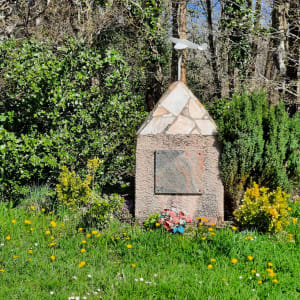 Les étangs de la forêt de Bonnevaux - Chatonnay - 5