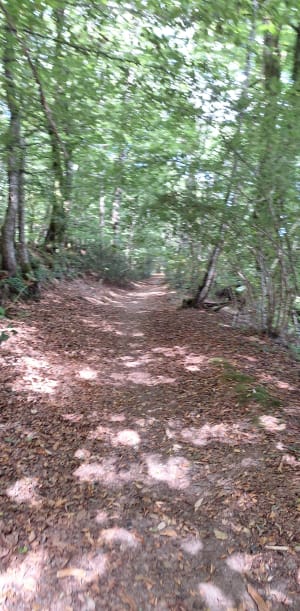 Autour de Ruffosses et Bois de Roudoux - Saussemesnil - 4