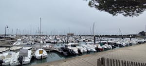 Balade sur l'Herbaudiere - Noirmoutier-en-l'Île - 17
