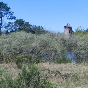 Virée à Bréal-sous-Montfort et charmants paysages bretons - Bréal-sous-Montfort - 4