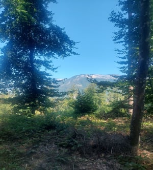 Les Croix du Chuguet, du Crêt et parc animalier. - Sevrier - 17