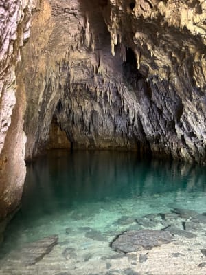 Pracht van de natuur tussen de Vercors-grot en de waterval - Choranche - 8