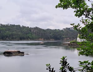 Marche au bord de l'eau prés de Pont Aven - Névez - 4