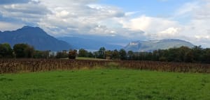 Plateau de Voglans et Mas des Essarts - Voglans - 4