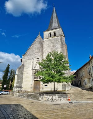 Château et vignes à Dissay . - Dissay - 5