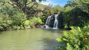 De Uzkaingo Erreka-waterval van Ascain - Ascain - 22