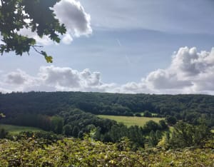 Randonnée du Moulin Fouleur - Saint-Denis-le-Gast - 6